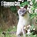 Siamese Cats Calendar 2017 ~ Deluxe Wall Calendar (12x12)