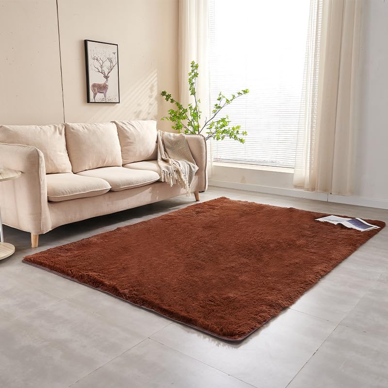 Tapis décoratif en peluche marron pour salon chaleureux et cosy