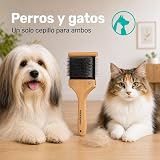 Ver la foto 8