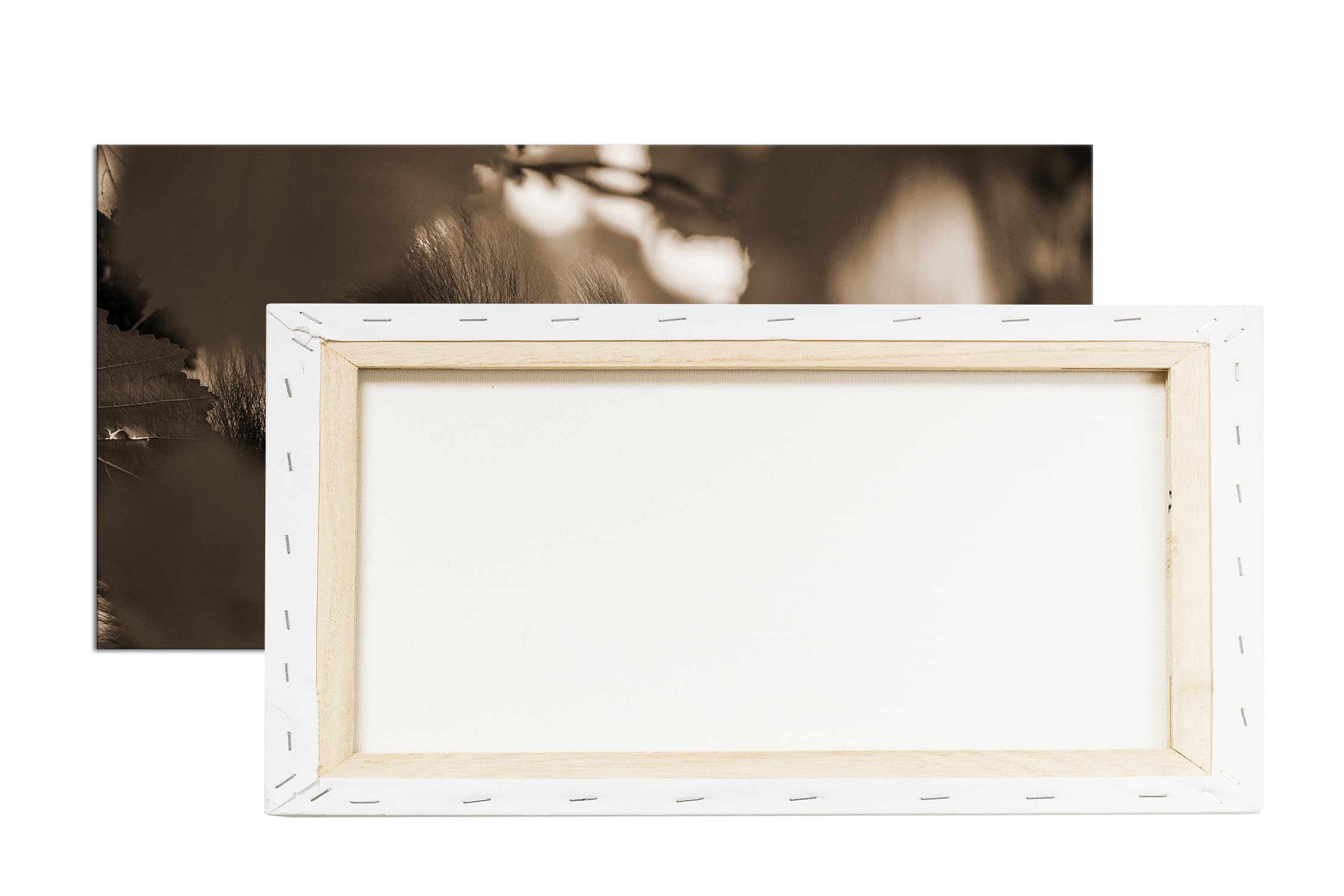 Joli panorama écureuil ravissant 100 x 50 cm - Effet : sépia comme toile - Motif prêt à être encadré sur un cadre en bois véritable - Impression numérique de qualité supérieure avec cadre