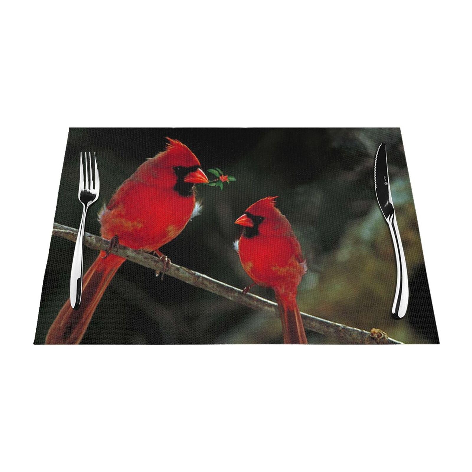 Sets de table tissés résistants à la chaleur et antidérapants lot de 6 oiseaux