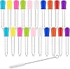 10 Pack Pipettes Dropper 5ml Clear Eye Dropper Silicone and Plastic Water Droppers with Bulb Tip and Clean Brush 20-Multicolor