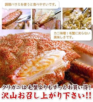 クリガニ　オス10キロ詰め oz0002.jpg