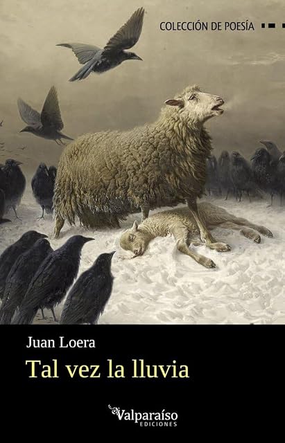 Portada de Tal vez la lluvia
