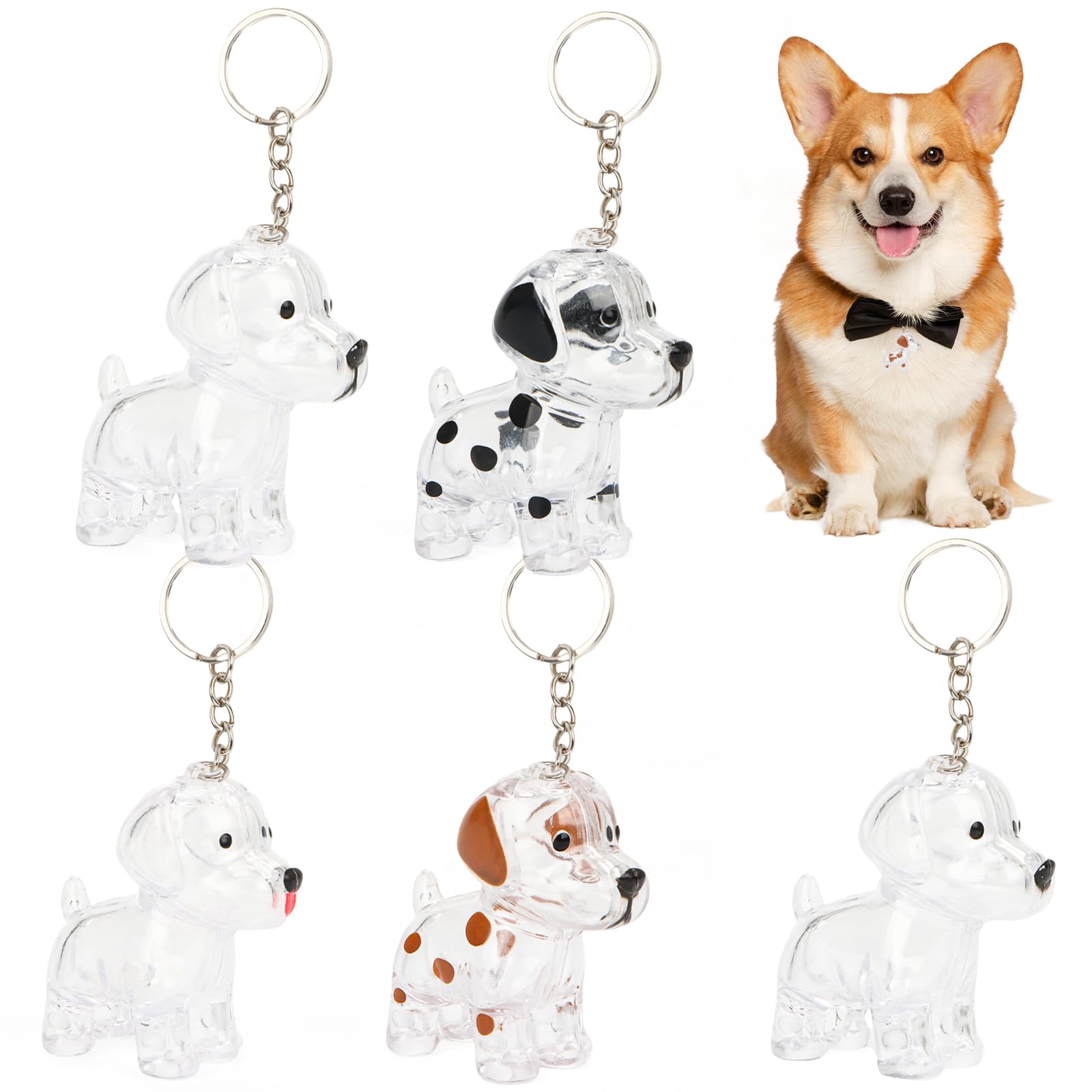 Byffoer 5Pcs Hundehaar-Sammler-Schlüsselanhänger,Schlüsselanhänger für Hundehaarsammle Hundehaar-Anhänger,DIY Hundehaar-Anhänger Flasche Kreatives Gedenkgeschenk für Tierliebhaber