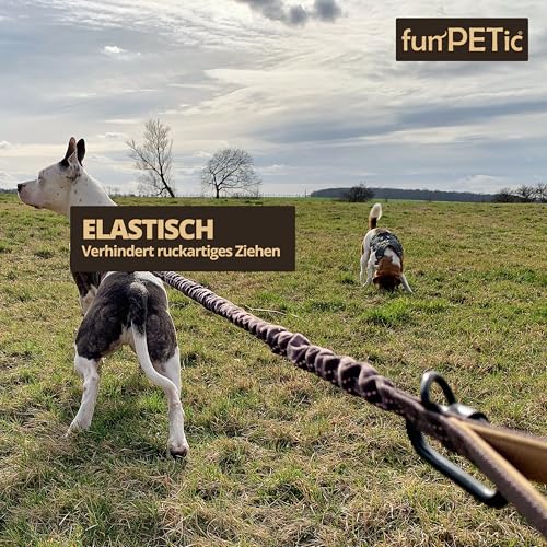 funPETic Hundeleine elastisch – Anbinden möglich, Zwei Griffe, reflektierend, für große und mittelgroße Hunde - braun