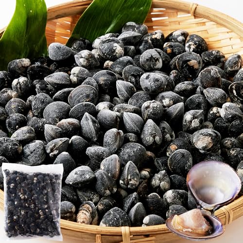 VR Ⓚa (1kg) sv 嗱 Y Ⓚ ֗ ق ΎY Y Ɩp ݂̖X`  