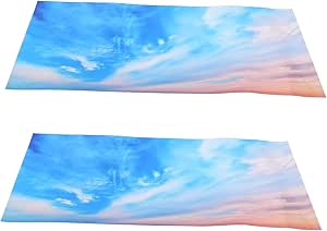 Amazon.co.jp: 2 PCS Ceiling Lamp Shades Light Diffusion Film ...