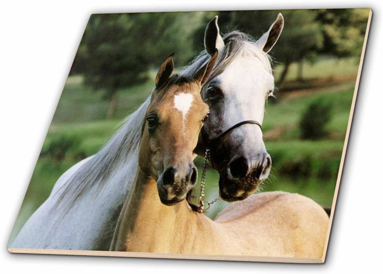 3dRose Florene Animals - Mother and Baby Horse 6 Inch Ceramic Tile image 4