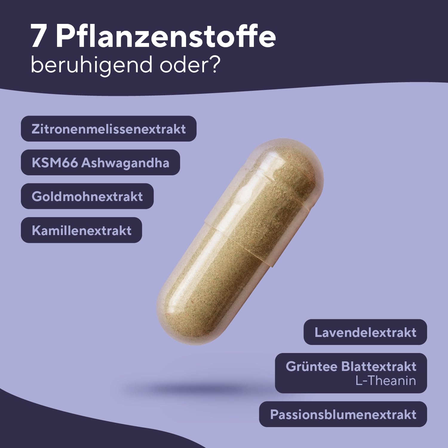 TRUE NATURE® Daily Sleep Kapseln - 90 Stück - 14 in 1 Wirkstoffkomplex - mit KSM 66, L-Tryptophan und 5 weiteren Pflanzenextrakten - Das Original - Made in Germany