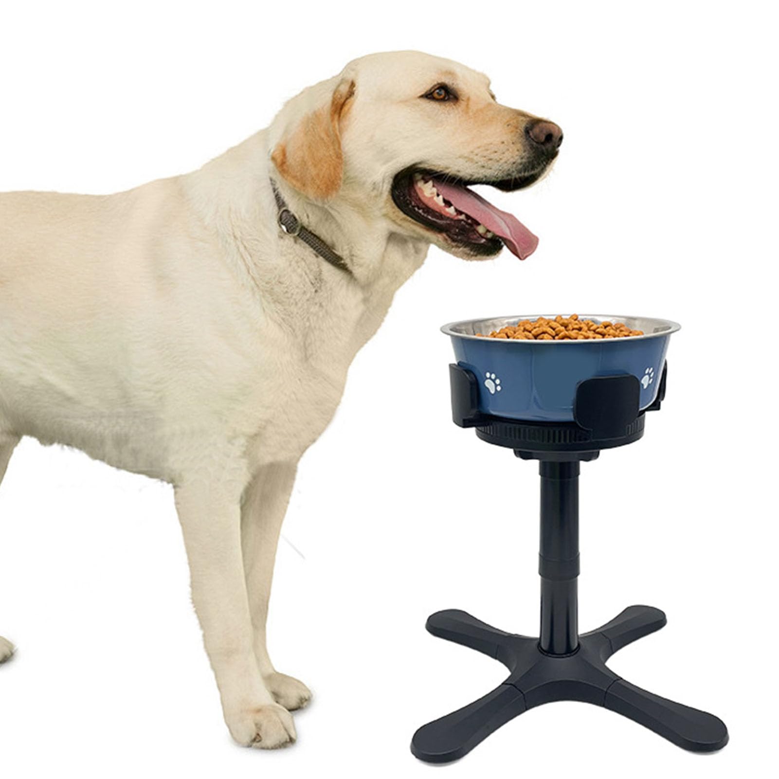 2 Supports de Gamelles Surélevés pour Chien, Bols Surélevés, Supports de Nourriture pour Chien par Support de Gamelle pour Petites, Moyennes et Grandes Races, Favorise Une Meilleure