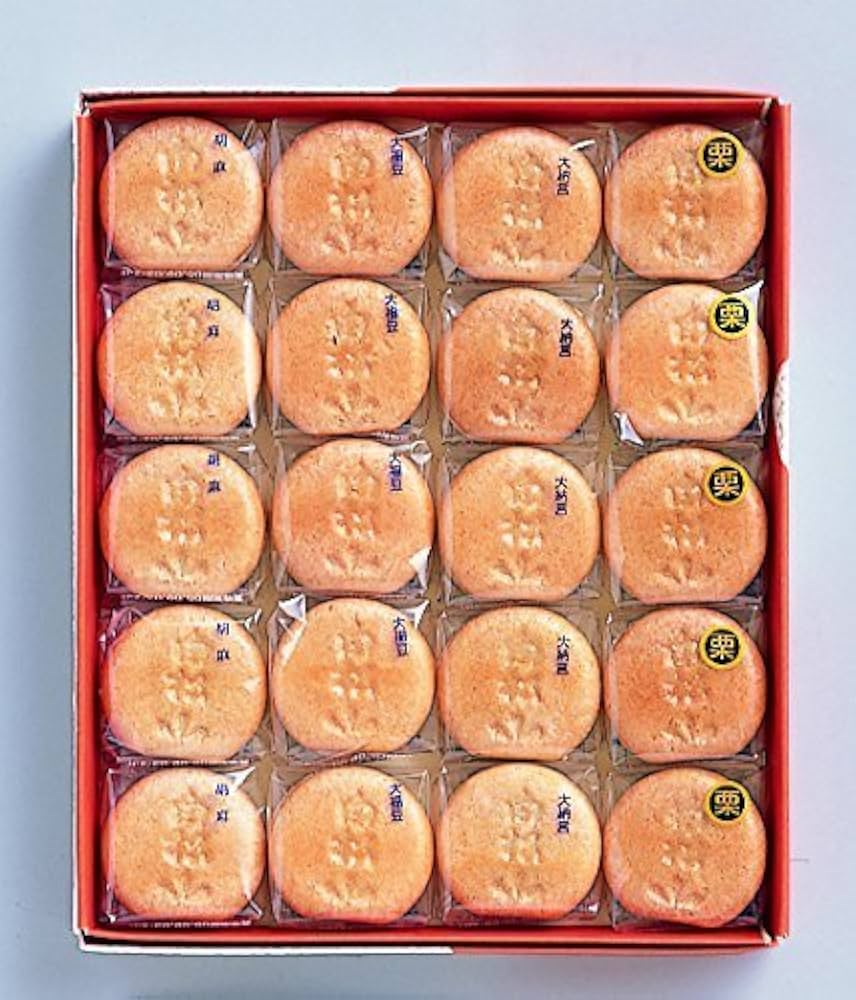 モナカ Mochila Mizuno Fun New