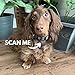 HeyBuddy® Slide Series - QR Code Smart Pet Tags for Dogs & Cats, Personalized Pet Tag Stores Multiple Information, Includes Passive Location Tracking, Real-Time Notification & Community Alerts