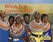 What Is a Community? (Our Global Community)