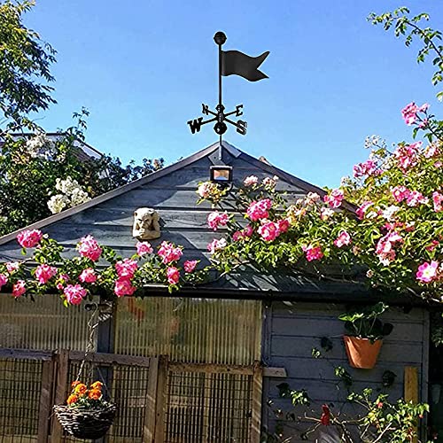 Outil de mesure professionnel du vent et girouette décorative pour maison et cour