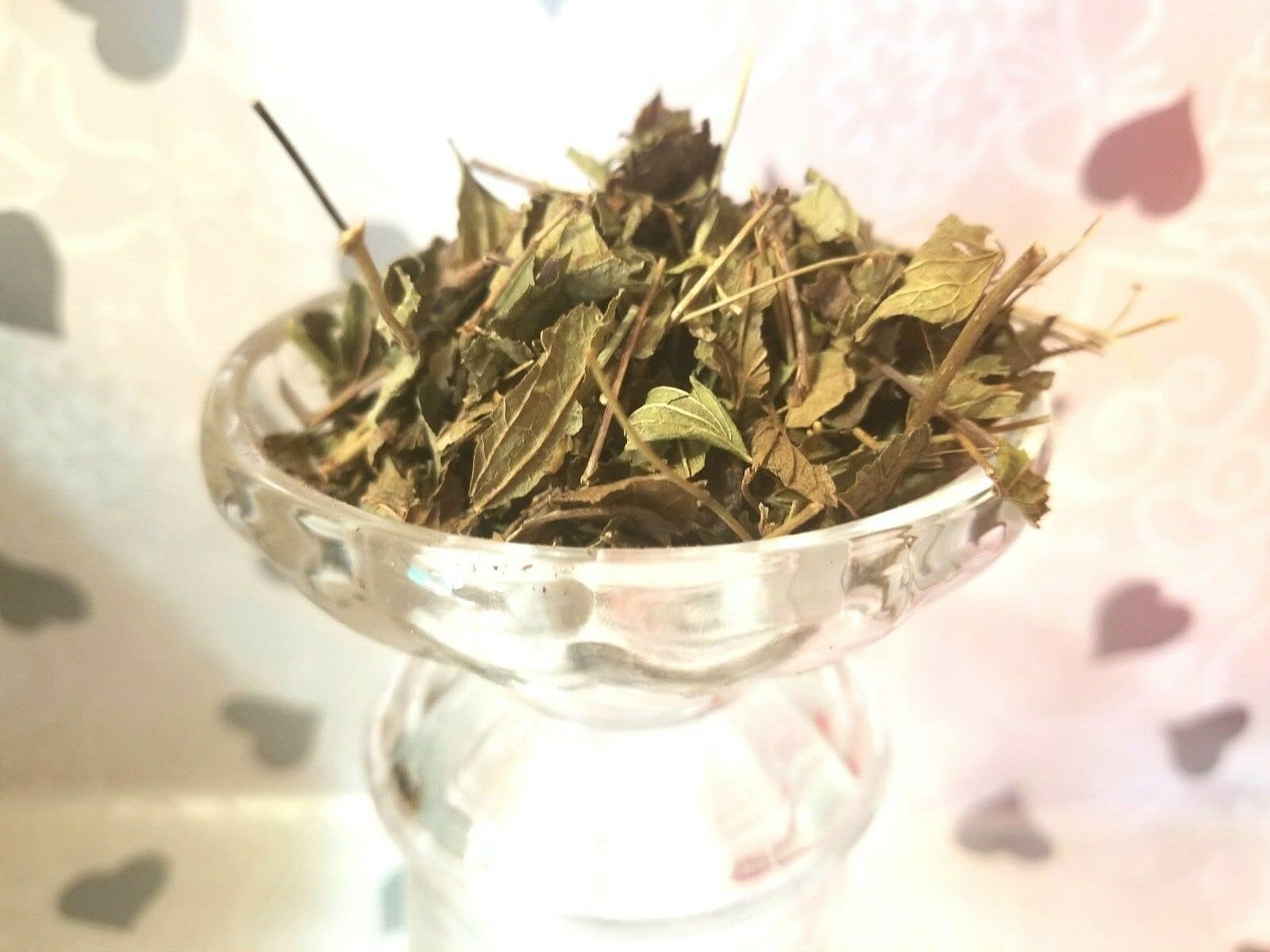 Prodigiosa Herb Prodigiosa Tea 1/4 Oz Pack of 2