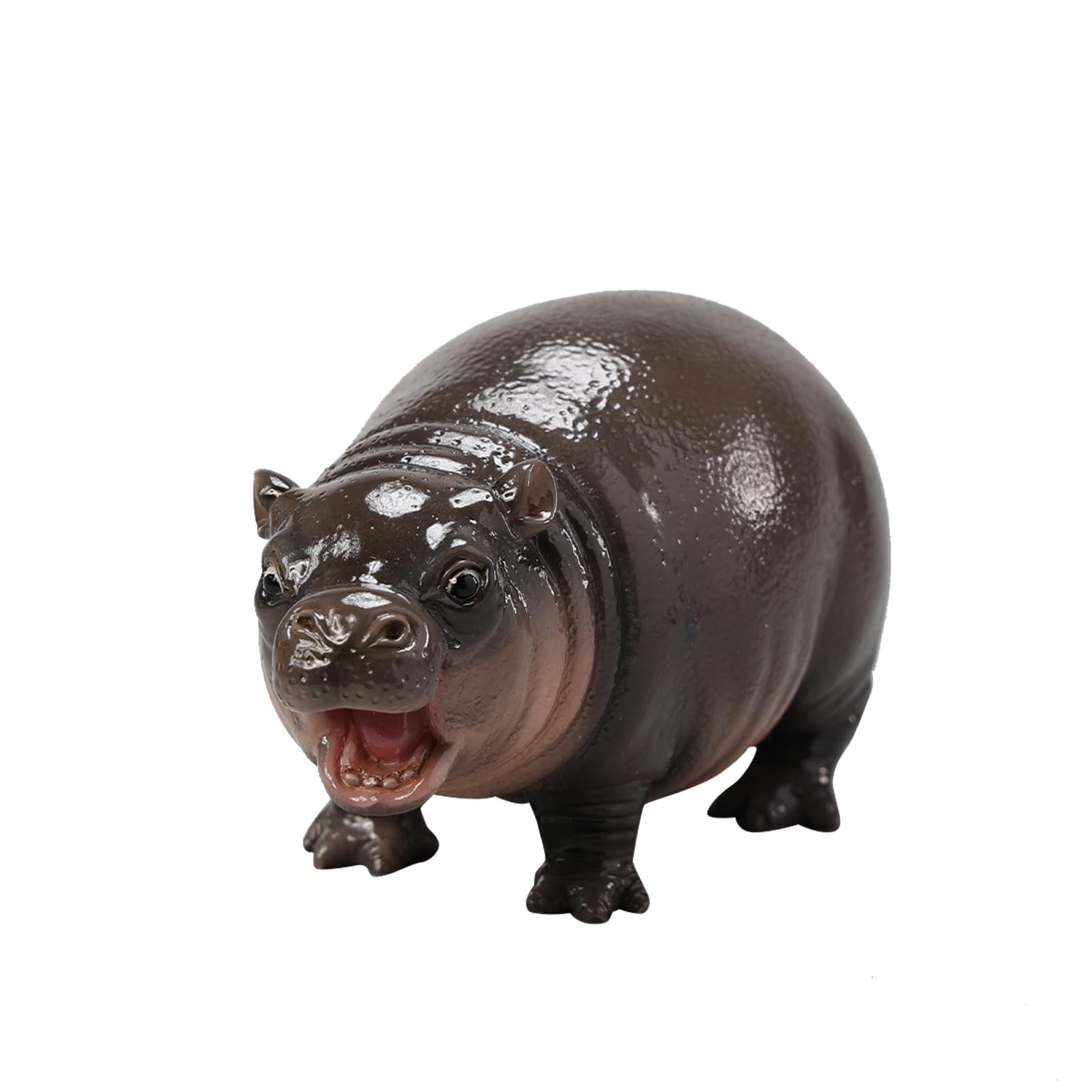 Amazon.co.jp: JXK カバ幼年期 カバの子 可愛い 哺乳綱 偶蹄目 動物