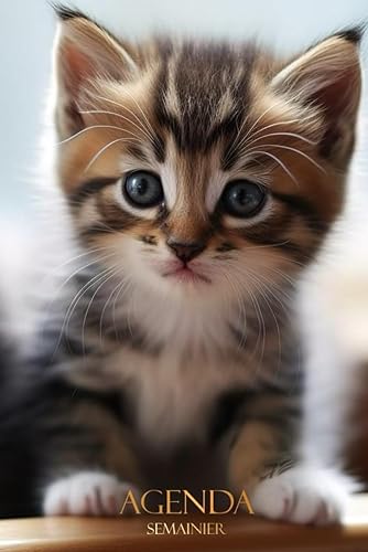 Agenda 2024 Semainier: 2 Pages par Semaine | 12 Mois De Janvier À Décembre, Format A5 | Français | Thème Chat