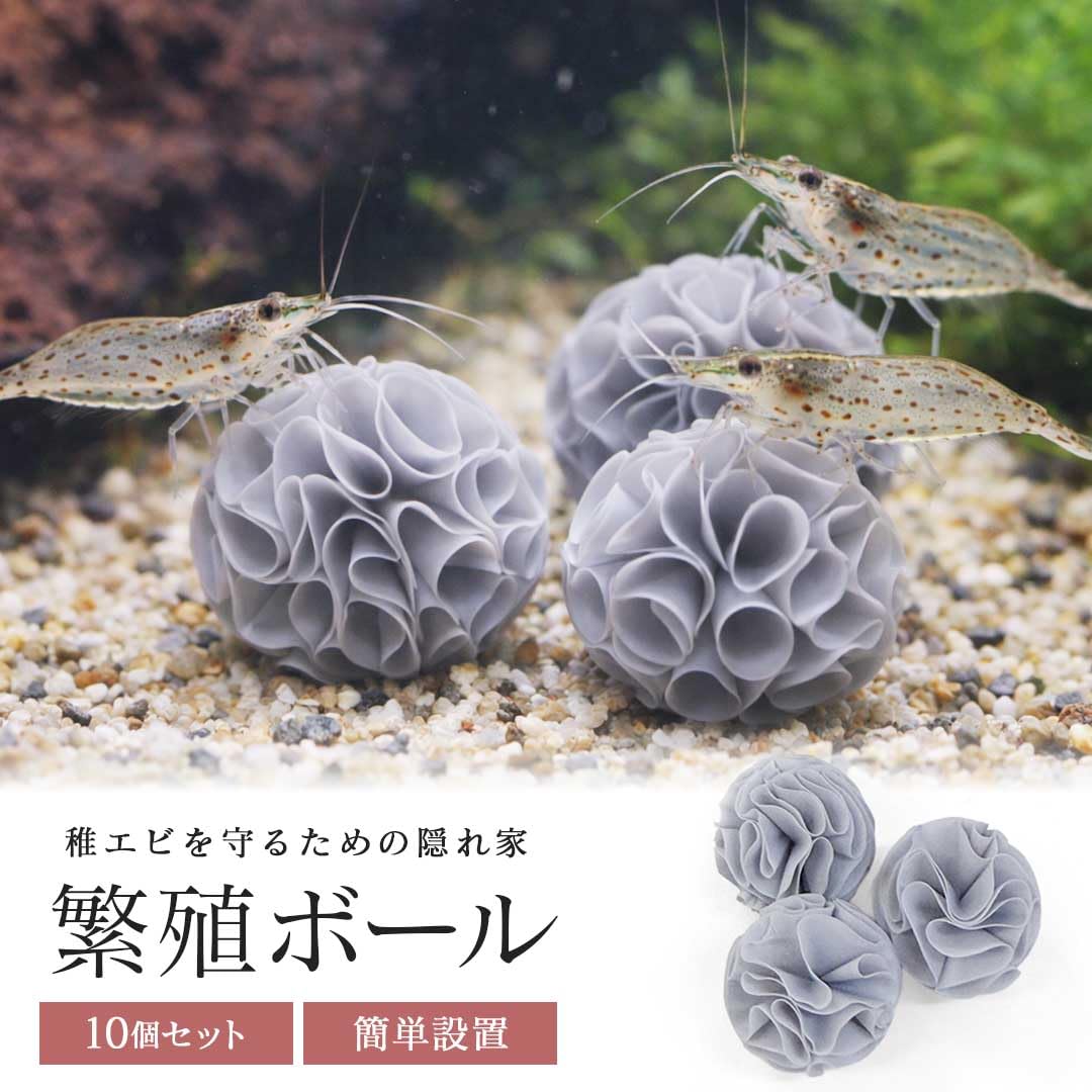 Amazon.co.jp: [AiO JAPAN] エビ 産卵用 繁殖ボール 青 海老 10個