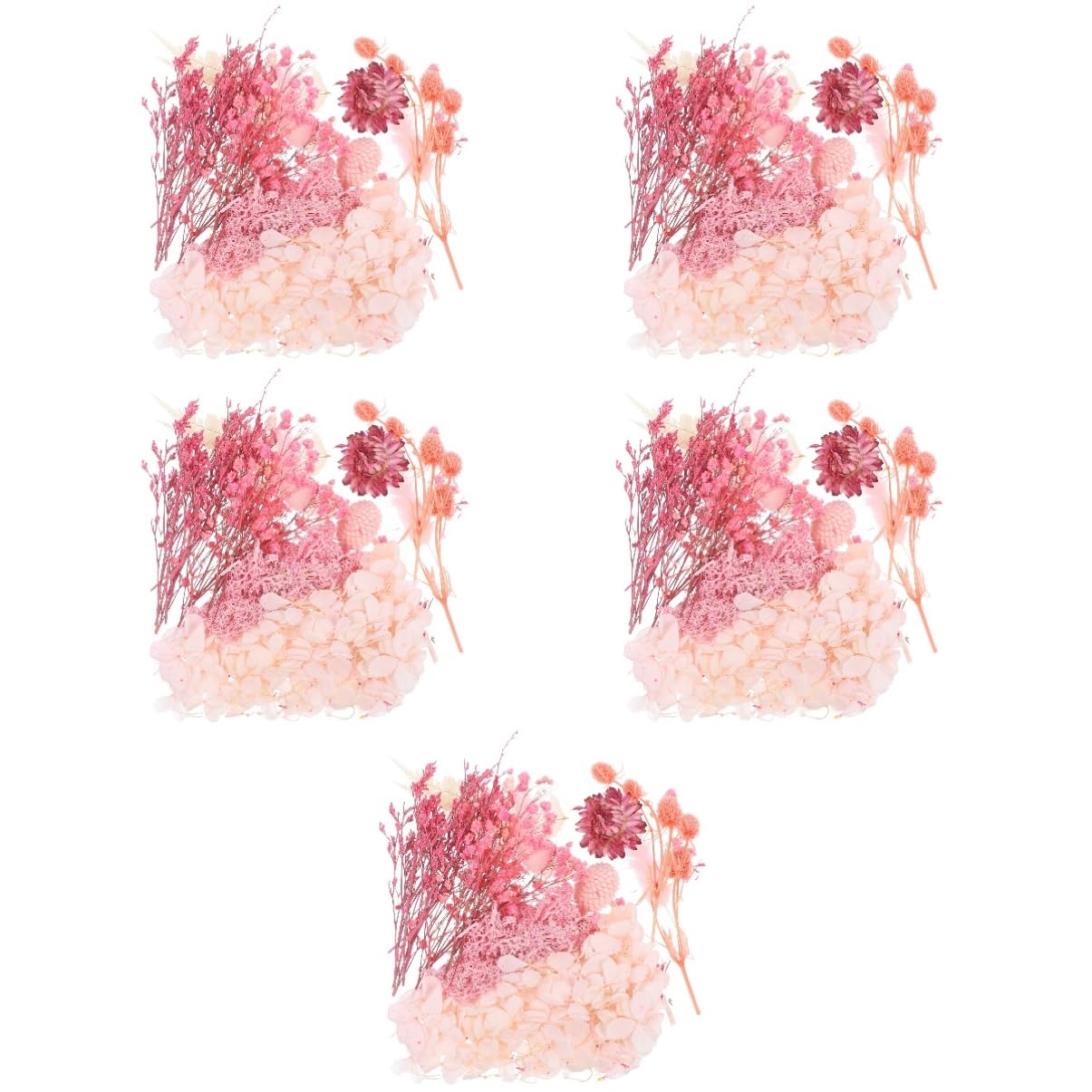 COHEALI 5sets Fiori Secchi Pressati Naturali Per Decorazioni Fai Te Fiori Per Candele e Artigianato Creativo