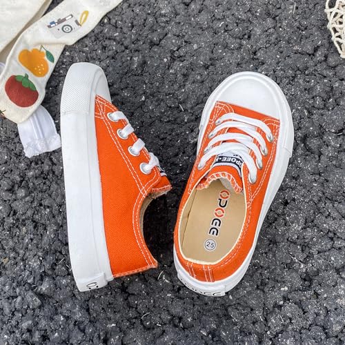 Girls and Boys Low Top Comfortable Canvas Kids Lace up Sneakers3
