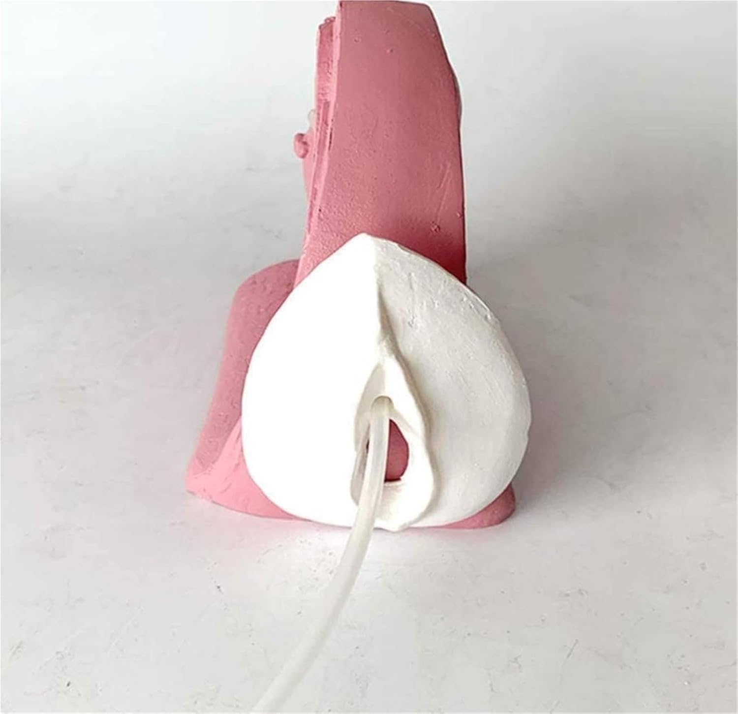 Modello Di Cateterismo Femminile O Maschile, Simulatore Di Modello Di Contraccezione Con Base Antiscivolo, Design Ad Alta Simulazione E Chiara Struttura, Per L'insegnamento Della Pianificazione