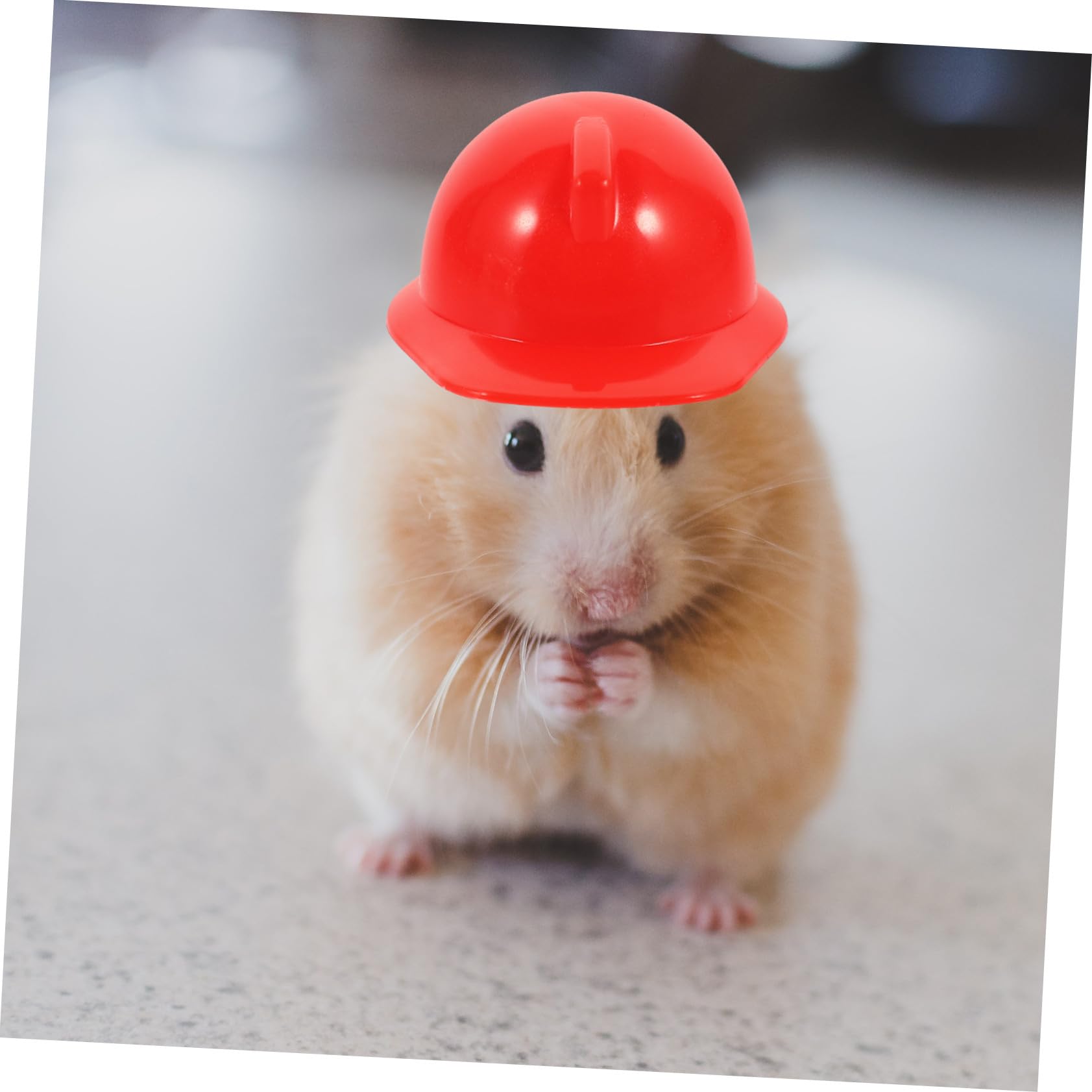 Mini Protector de Seguridad en Rojo, 20 Piezas, Plástico | Sombrero de Construcción Miniatura, Accesorio para Muñeca y Mascota, Uso Exterior y Espectáculos
