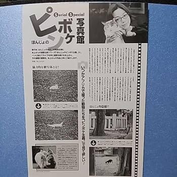 Amazon.co.jp: 本上まなみ雑誌切り抜き 7P 女優 歌手 タレント