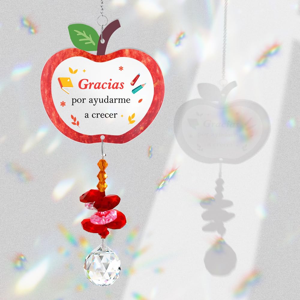 Regalo para Profesora Atrapasoles Regalo Profe Maestra Cumpleaños Regalos Profesora Primaria Guarderia Ideas Regalos Profesor de Infantil Originales Fin de Curso Navidad Reyes San Valentín