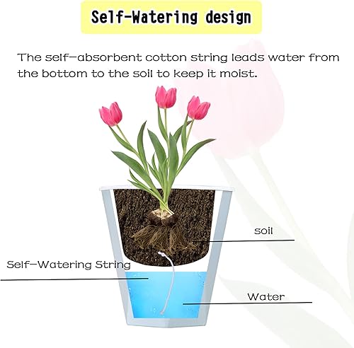 Miniatura 5 de 3 macetas de riego automático de 7.8 pulgadas, macetas de interior, macetas de jardín, macetas modernas azules para orquídeas, hierbas, violeta