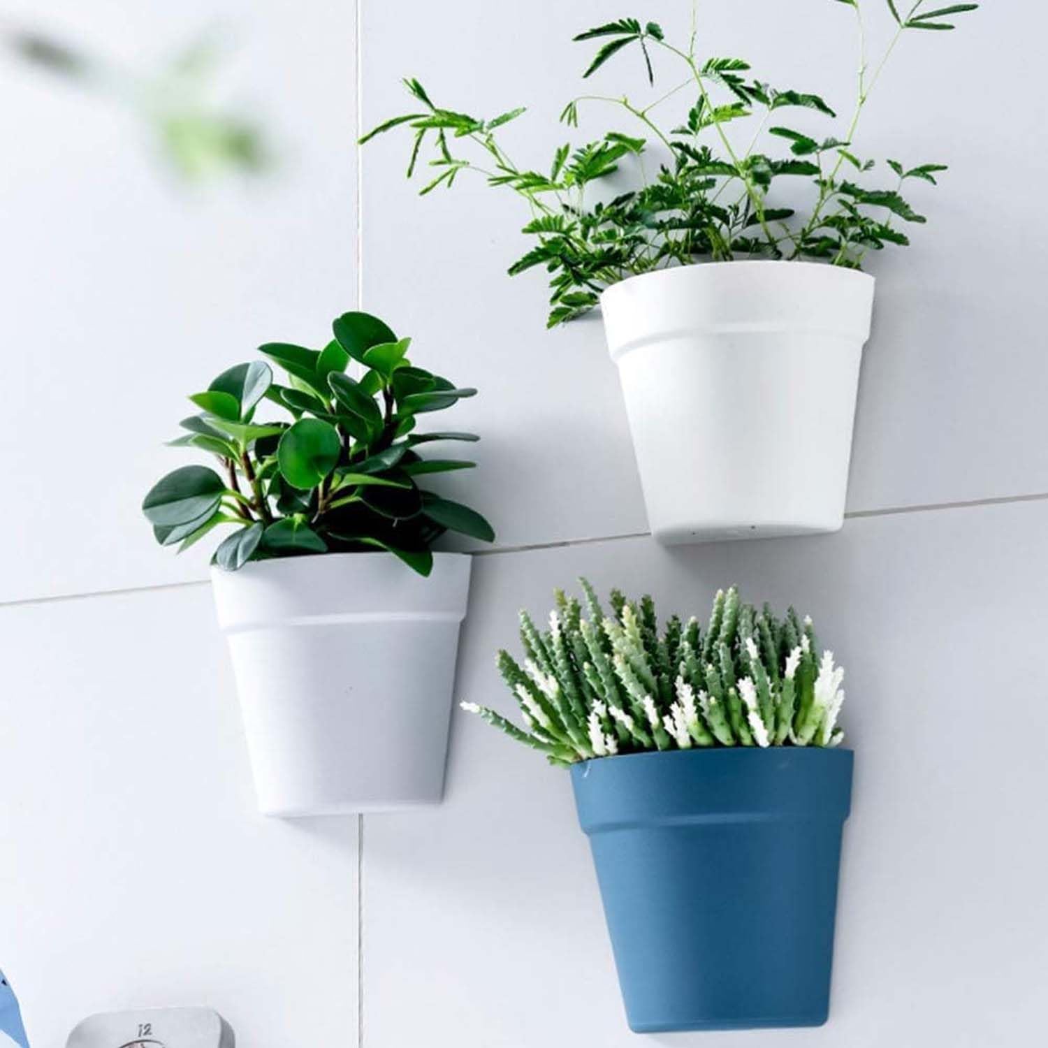 Go Hooked Wall Planters - 5 Pack for Vertical Gardens -9 Go Hooked Wall Planters - 5 Pack for Vertical Gardens -9