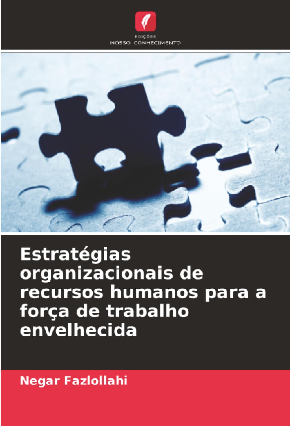 Estratégias organizacionais de recursos humanos para a força de trabalho envelhecida