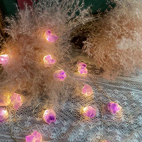 Genuine Amethyst Crystal Decorative Lights Cute Fairy String Lights 10Ft 30 Natural Stones With Remote For Bedroom Hanging Ornaments Reiki Party Night Light Wedding Room Décor Mother's Day Gift #TOP3