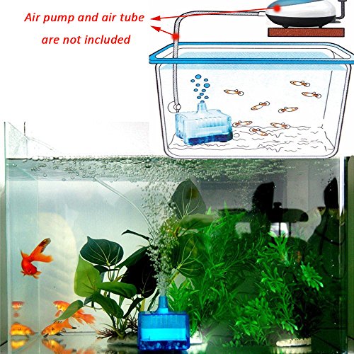 Picture of The 30 Best Aquarium Filters for Goldfish of 2024 [Verified] - Cherry Picks