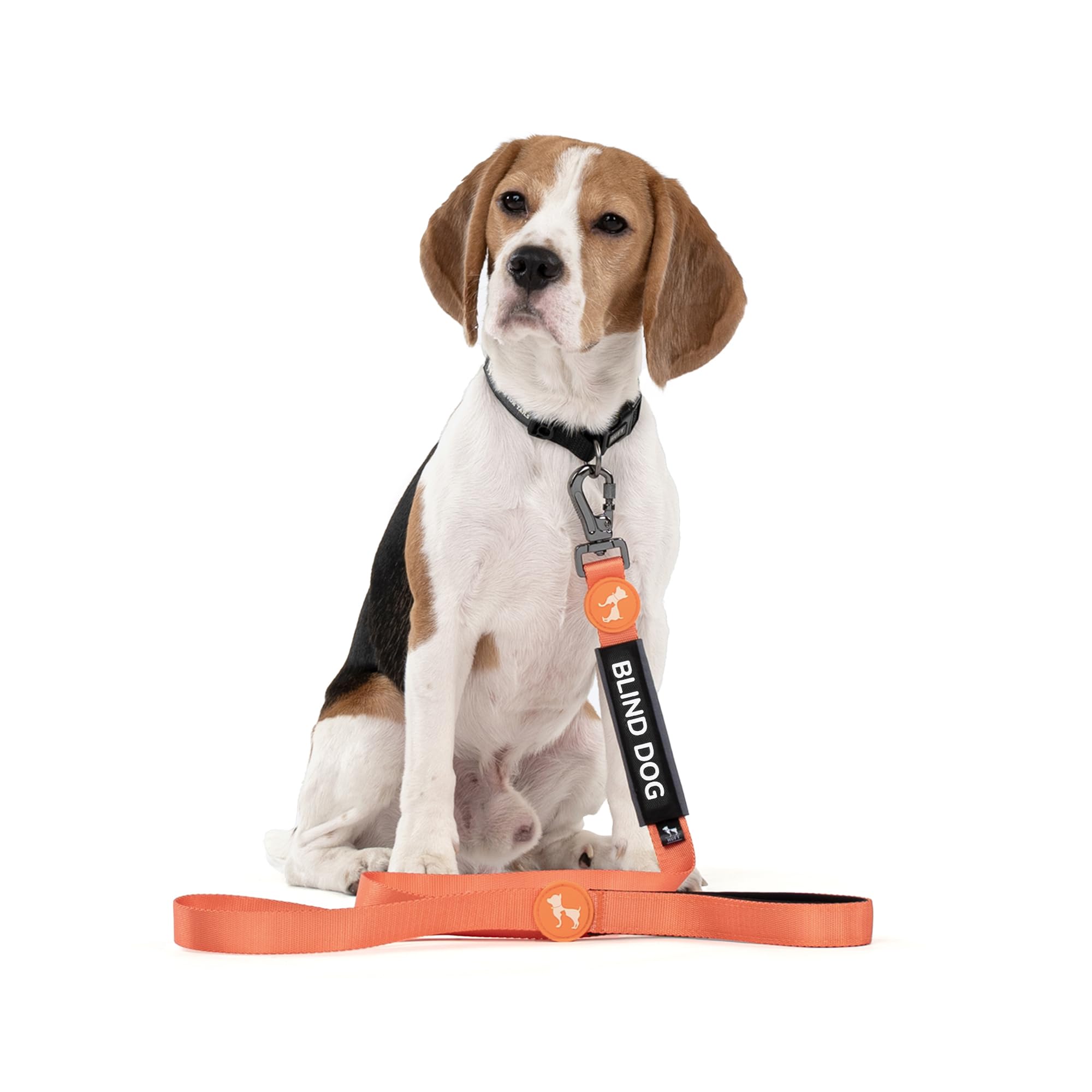HUFT Trooper Collar & Leash Insert for Dogs (Blind Dog) (B0CPJ9HGS9) Amazon Price History, Amazon Price Tracker