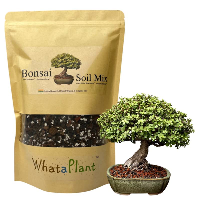 BonsaiOutlet Bonsai Soil Mix Blend Tinyroots All Purpose Organic Mixed