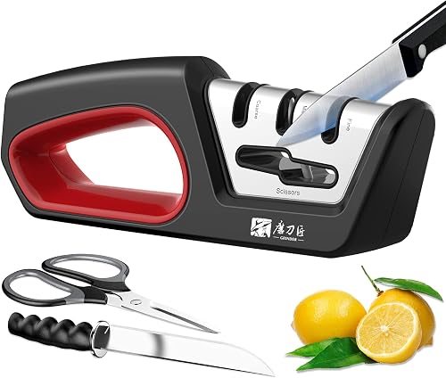 Aiguiseur de Couteaux Professionnel 4 en 1 