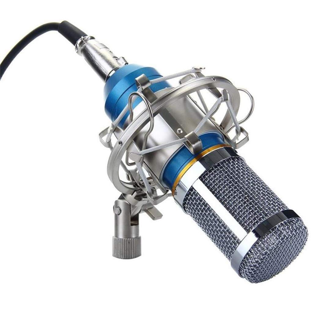 VejiA Dynamic Condenser Sound Recording Microphone with Shock Mount for Radio Braodcasting KTV with Shock Mount