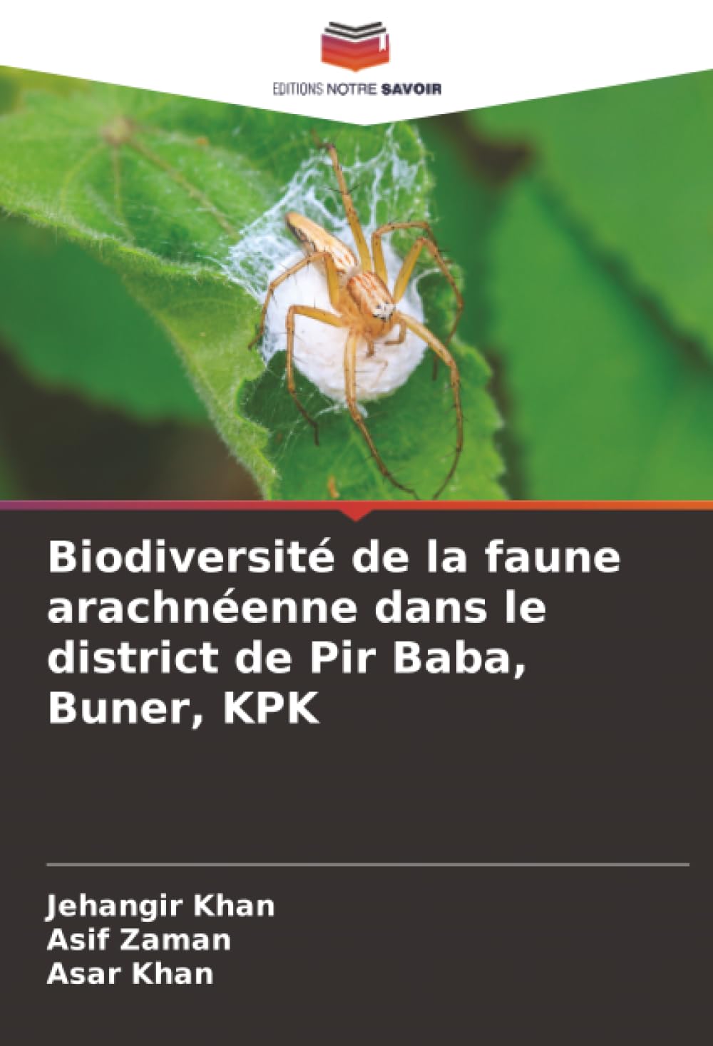 Biodiversité de la faune arachnéenne dans le district de Pir Baba, Buner, KPK