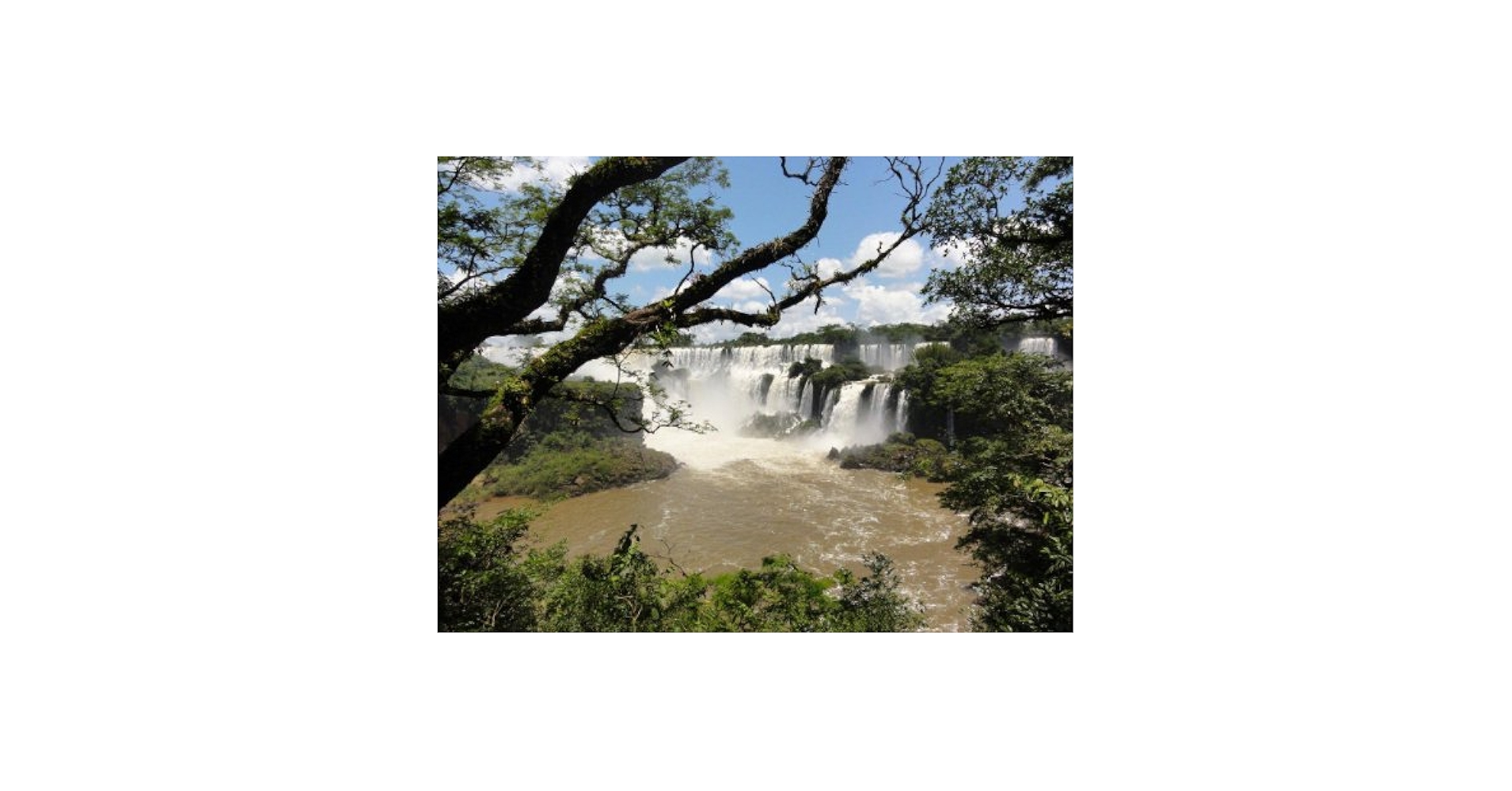【中古】 ワイルドライフ　南米　イグアス　世界最大の滝に野生が集う/ＤＶＤ/NSDS-18327 Amazon.co.jp: ワイルドライフ 南米 イグアス 世界最大の滝に