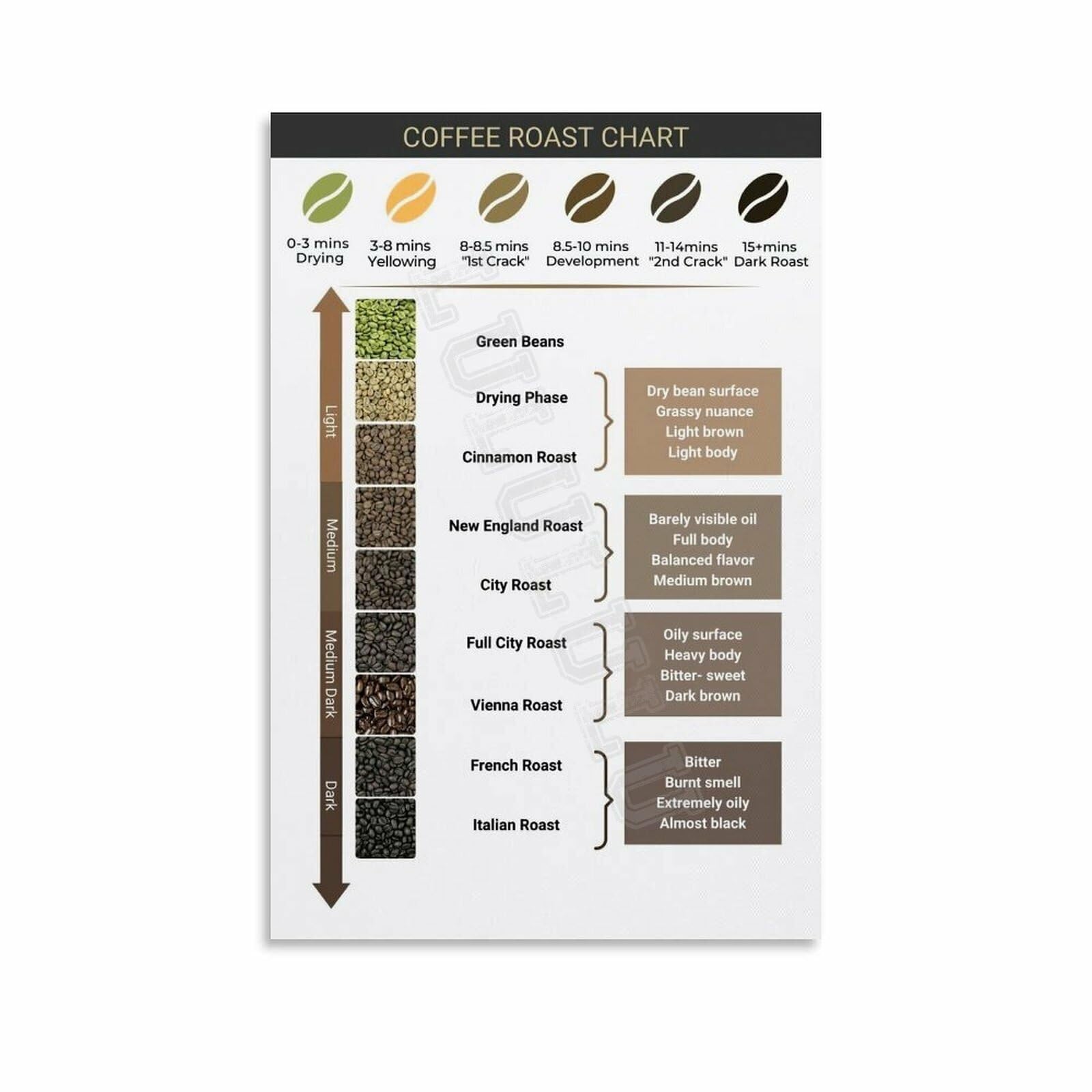 XGINERFEX Kitchen or Cafe Wall-Art - Coffee Roast Chart & Brewing Guide Poster for Coffee Lovers, Home Barista(Unframed,8x12inch(20x30cm))