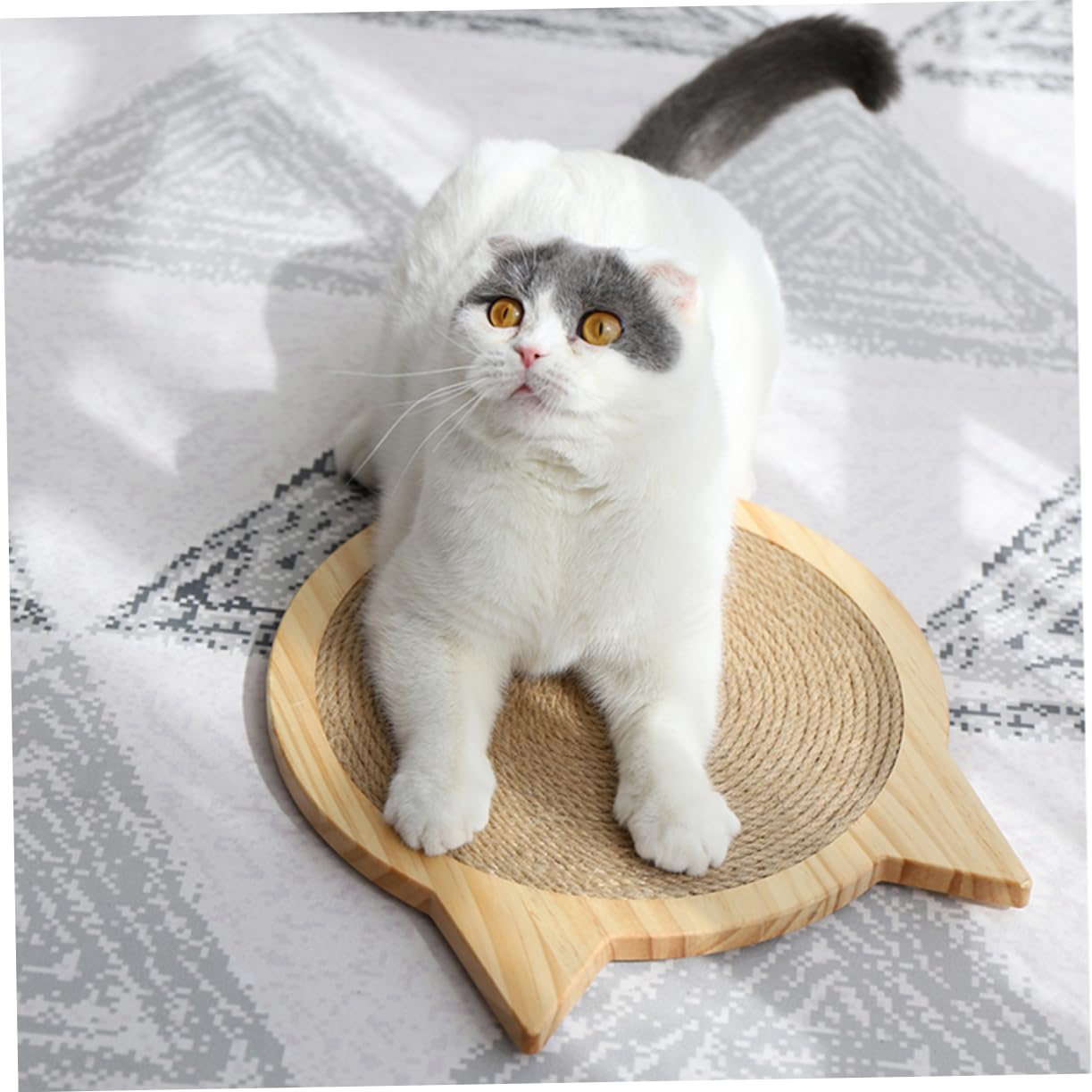 Vertikales Katzenkratzbrett Sisalbrett Kratzspielzeug für Katzen Robustes Material Katzenzubehör