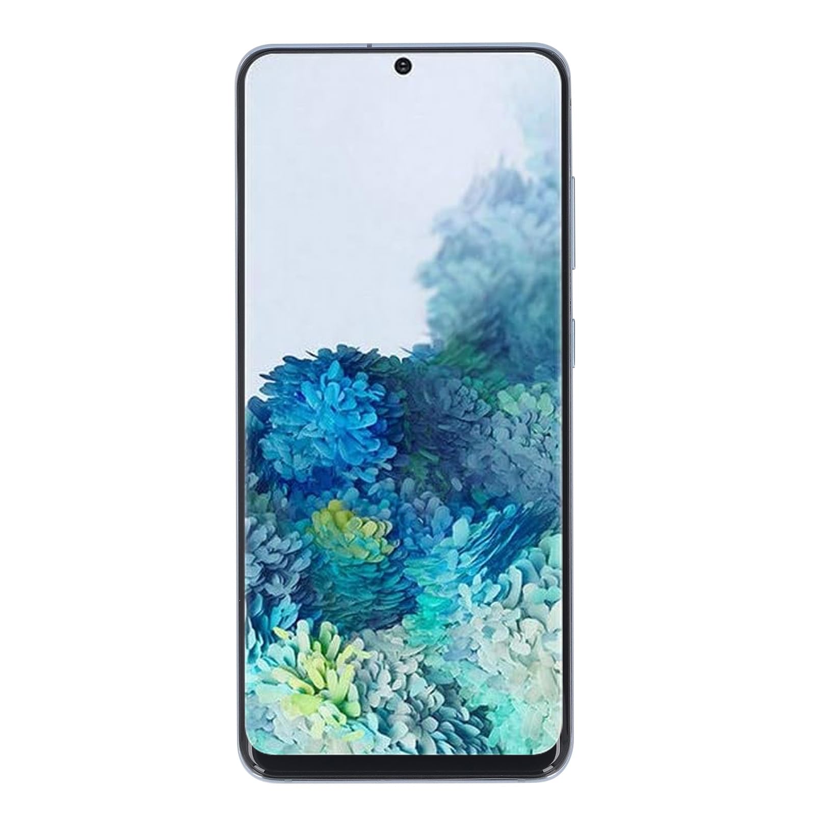 Display Schermo Completo con Telaio per S20 4G Phone, 6.2in (BLUE)