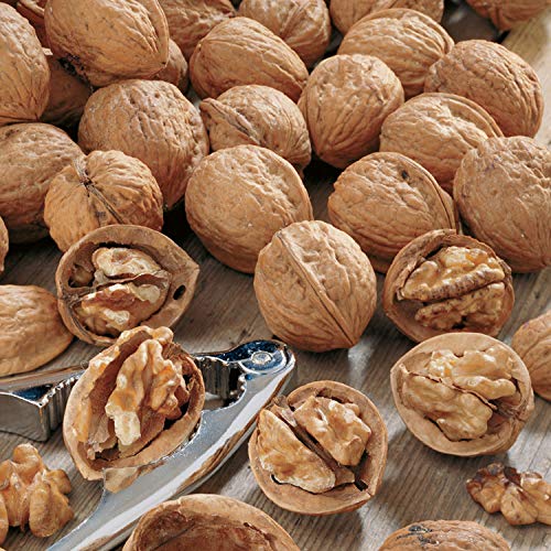 Zinc alloy Seafood Tools Nut Crackers Walnut Cracker Lobster Crab Walnut Opener Tool for Hazelnuts/Pecans/Peanuts