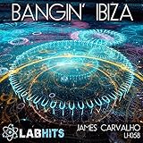 LAB HITS