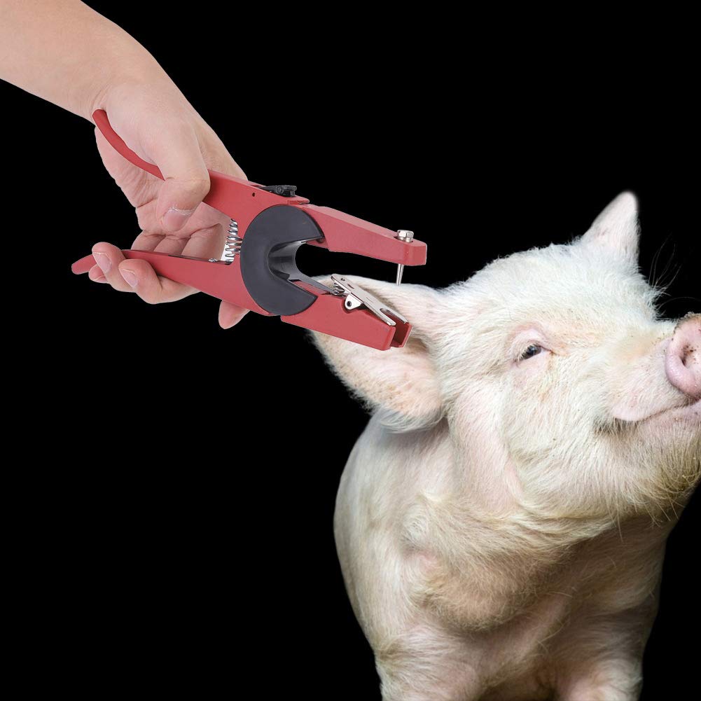 Ohrmarkenzange für Schaf, Rind, Kuh, Ziege, Schwein & Pferd - Universal Tiermarkenzange und Ohrmarkenapplikator - Praktisches Vieh-Werkzeug zum Einsetzen von Ohrmarken