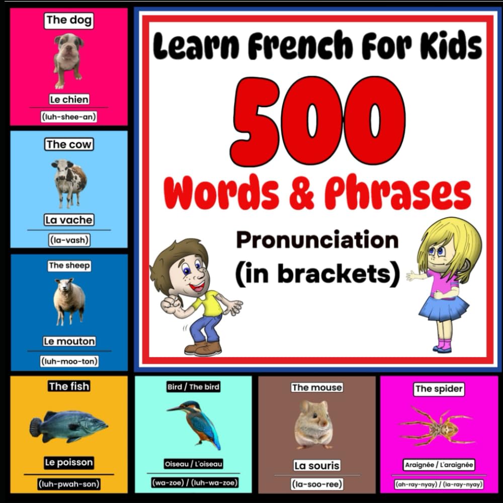 Learn French For Kids - More Than 500 Words & Phrases - Pronunciation (in brackets): Learn French - Beginner French - French For Children - French For Dummies