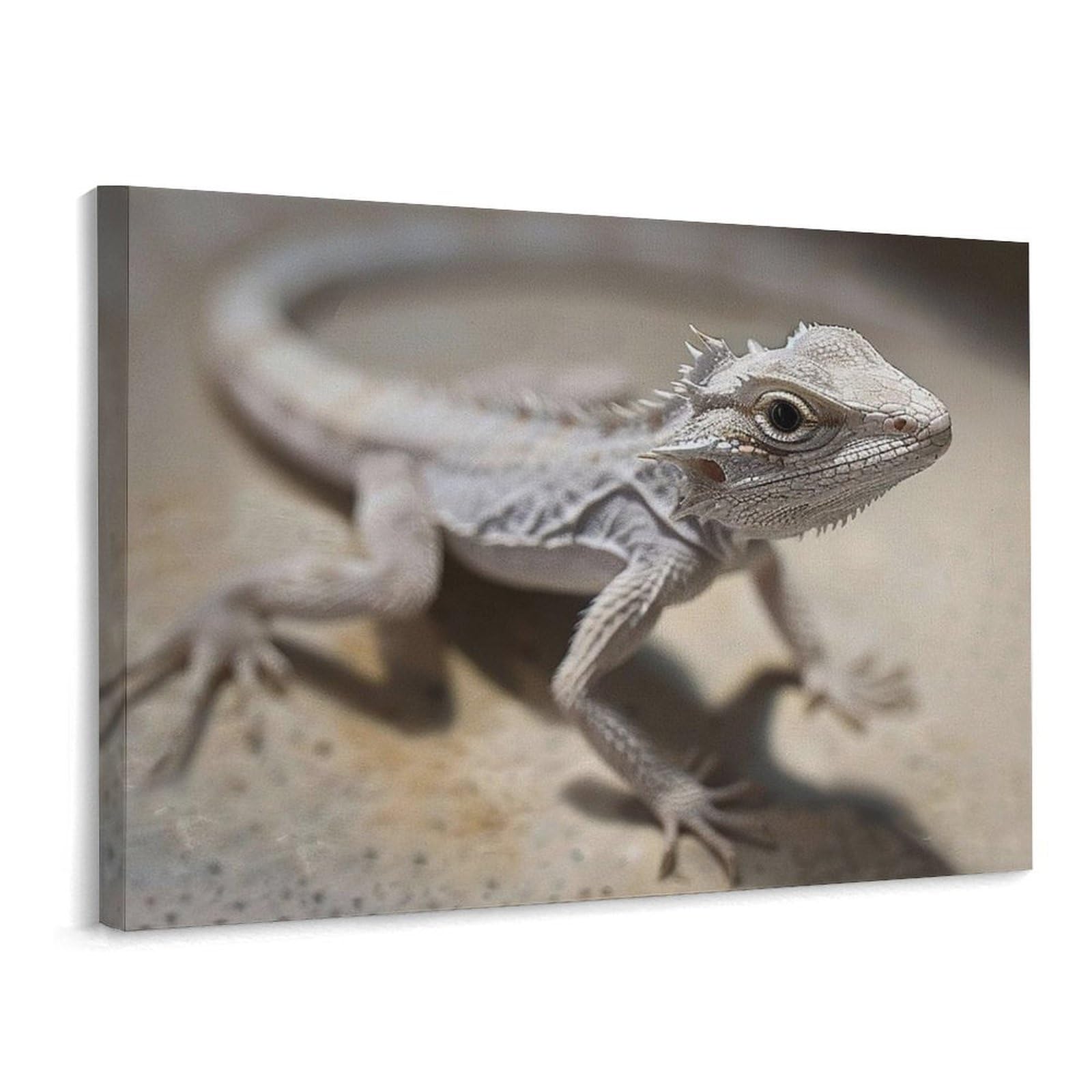 Canvas Wall Art for Living Room Prints Aesthetic Poster Canvas Paintings Prints Covered with Scales Pictures ArtWork Office Wall Decor Modern Abstract Wall Art for Bedroom Home Decor 30x40 Cm