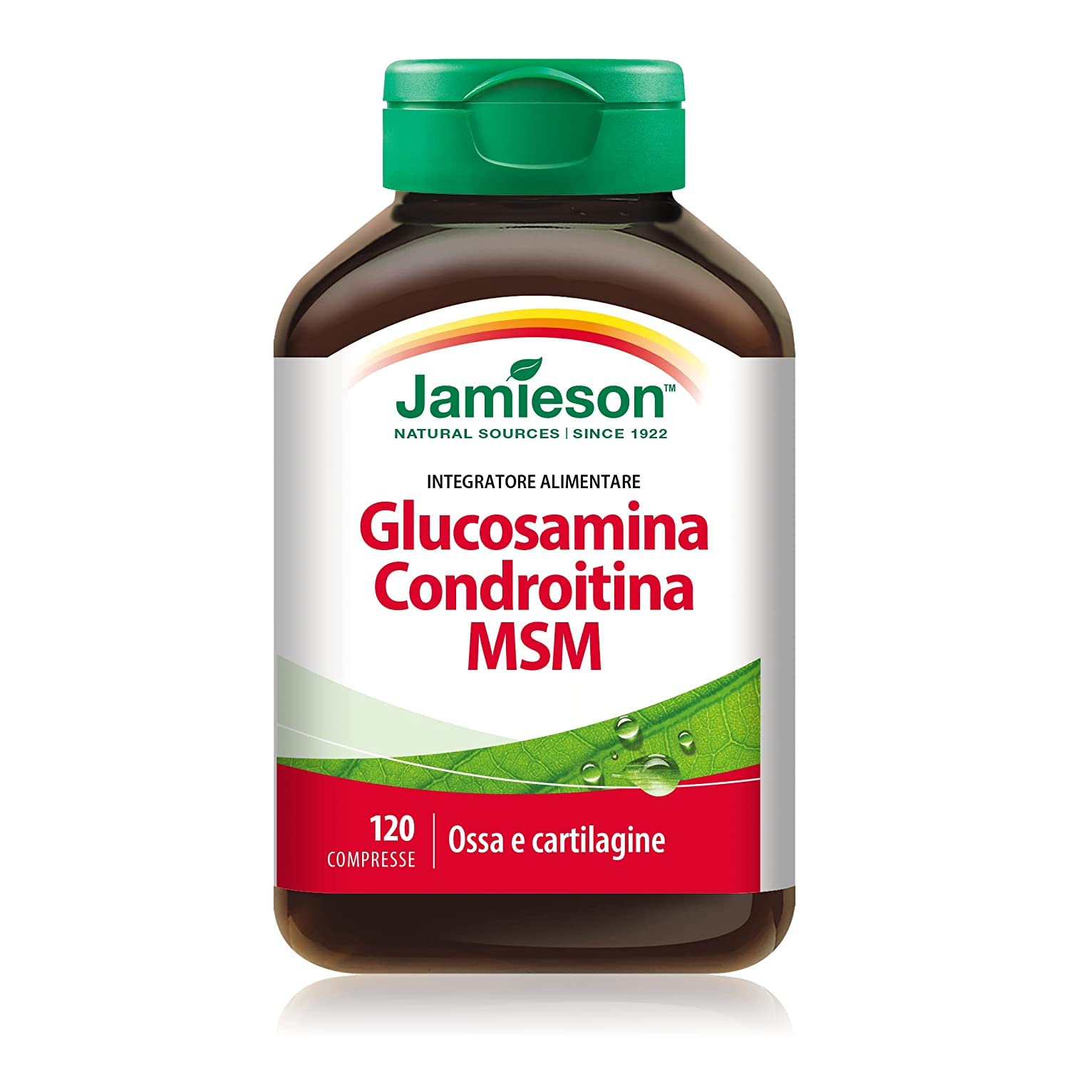 Jamieson Glucosamine Chondroitin MSM, 1300 mg, 120 Capsules Amazon.in Health & Personal Care