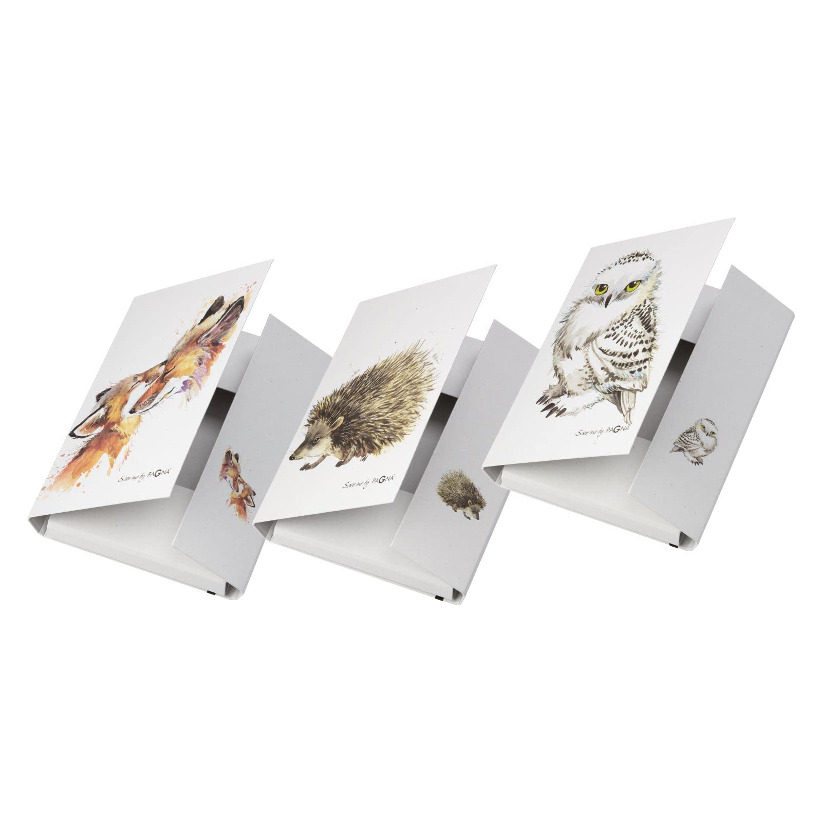 Pagna Sammelbox A4 PP Save me No2 mit Gummizug, sortiert 6 Stück